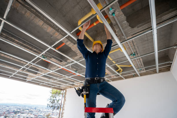 Best Affordable Plumbing Services  in Winfield, MO